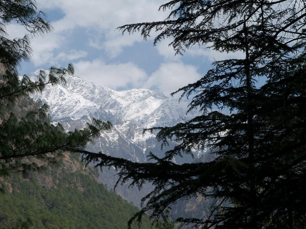 Parvati Kuteer Riverside Resort Kasol Kültér fotó