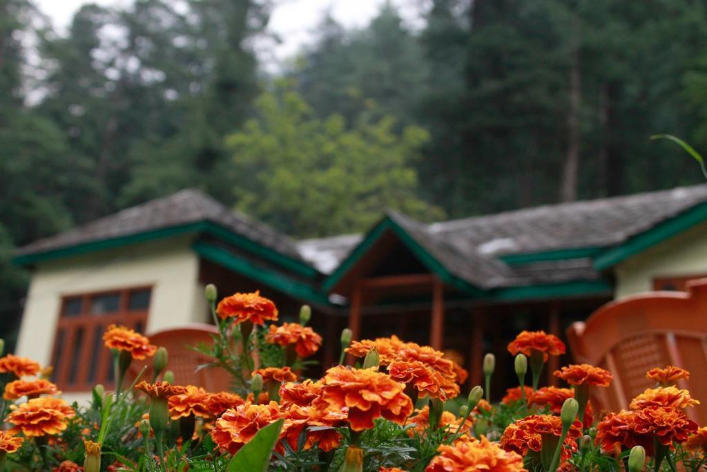 Parvati Kuteer Riverside Resort Kasol Kültér fotó