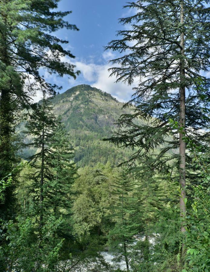 Parvati Kuteer Riverside Resort Kasol Kültér fotó